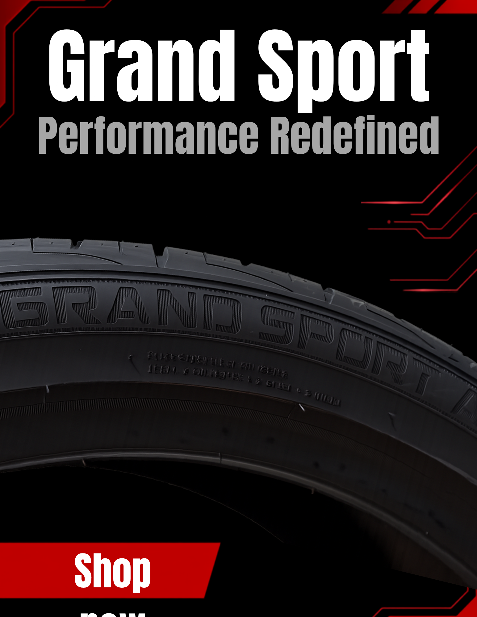 255/40ZR21 ARROYO GRAND SPORT A/S 105Y XL